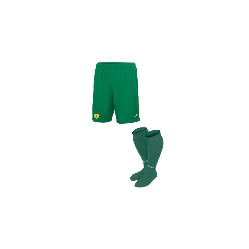 Classic soccer 2024 socks green