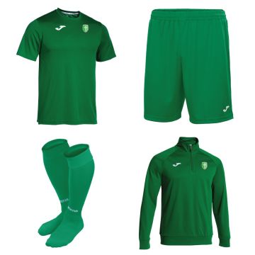 SALLINS CELTIC 1/4 ZIP T-SHIRT SHORTS & SOCKS
