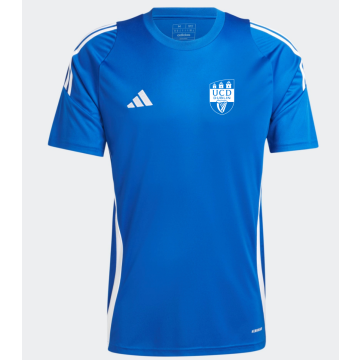 UCD Adidas T-Shirt Adults Royal Blue