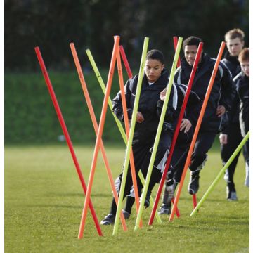 Precision Boundary Poles Set of 12 1.7m